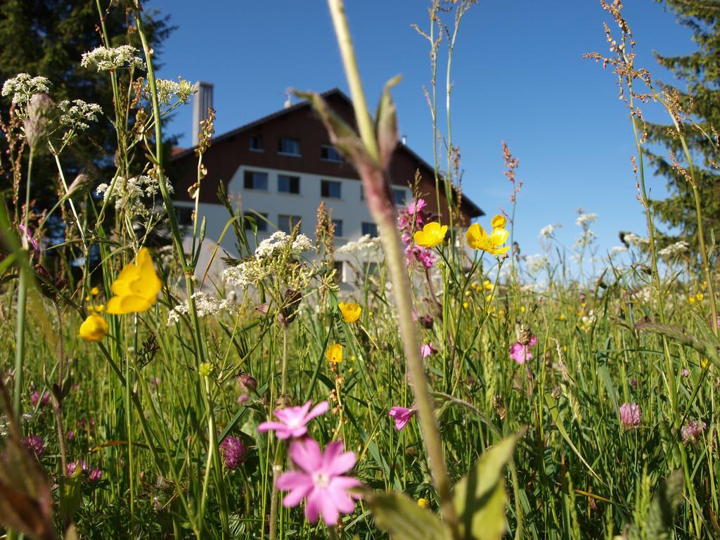 La Roche Du Tresor Village Vacances Longevilles-Mont-dʼOr Zewnętrze zdjęcie